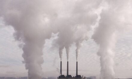 Drastyczny Spadek Emisji CO2 w Polsce: Sukces Czy Przypadek?